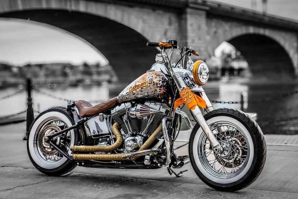 618639941_1449465526772596_1885447805293407562_n